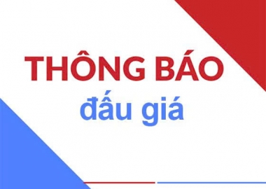 Thông báo bán đấu giá tài sản tại Cần Thơ