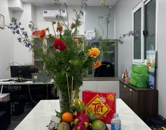tết năm 2026 tại Hà Nội